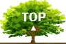 Page Top